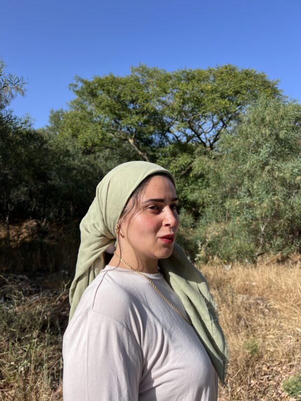 ⁦מרובעת טטרה ירוק בקבוק⁩ – תמונה ⁦2⁩