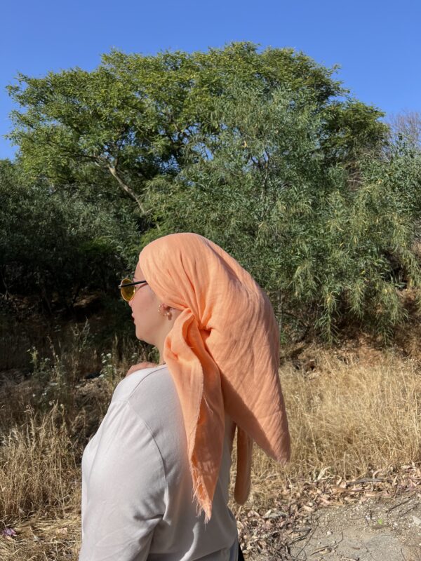 ⁦מרובעת טטרה כתומה⁩ – תמונה ⁦3⁩