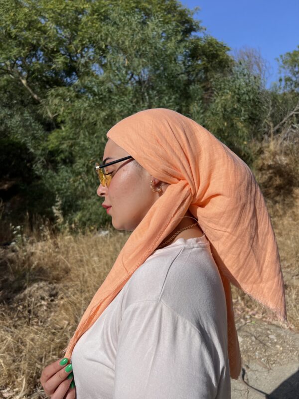 ⁦מרובעת טטרה כתומה⁩ – תמונה ⁦2⁩