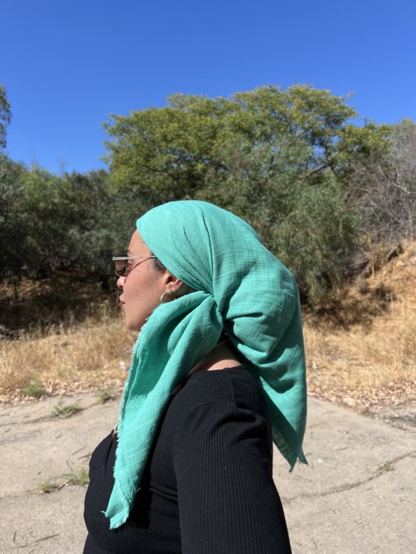 ⁦מרובעת טטרה טורקיז⁩ – תמונה ⁦4⁩