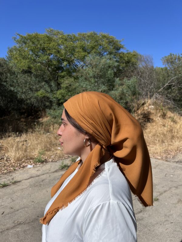 ⁦מרובעת חמרה⁩ – תמונה ⁦4⁩